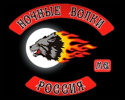 Night Wolves MG