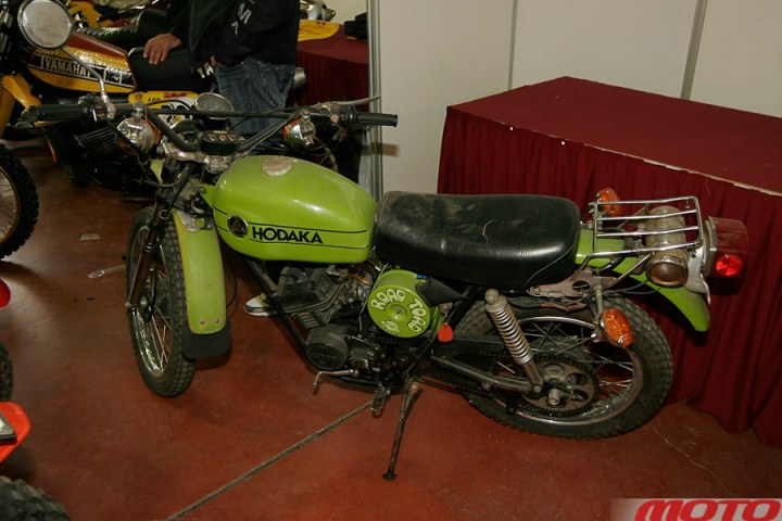 monstra-2.JPG