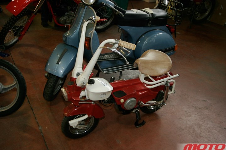 monstra-3.JPG
