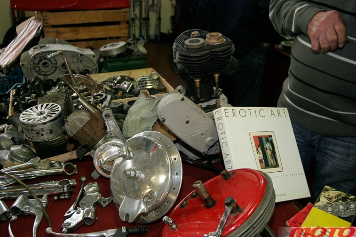 monstra-4.JPG