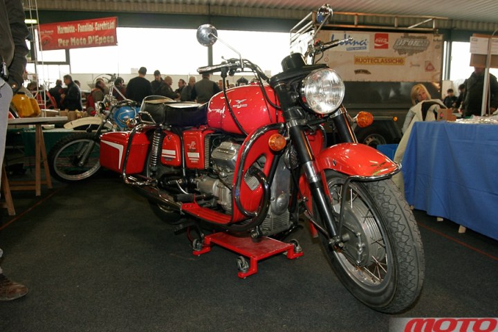 monstra-20.JPG