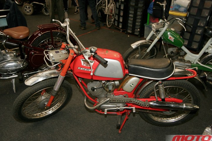 monstra-24.JPG