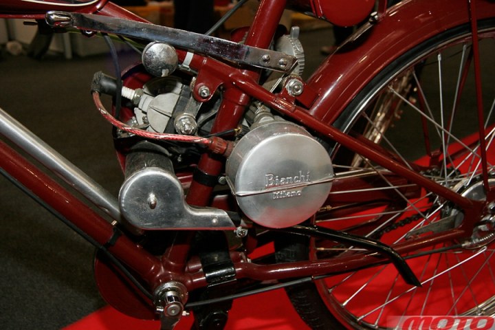monstra-26.JPG