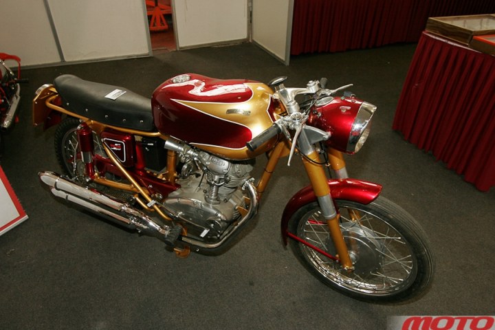 monstra-30.JPG