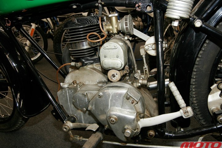 monstra-36.JPG