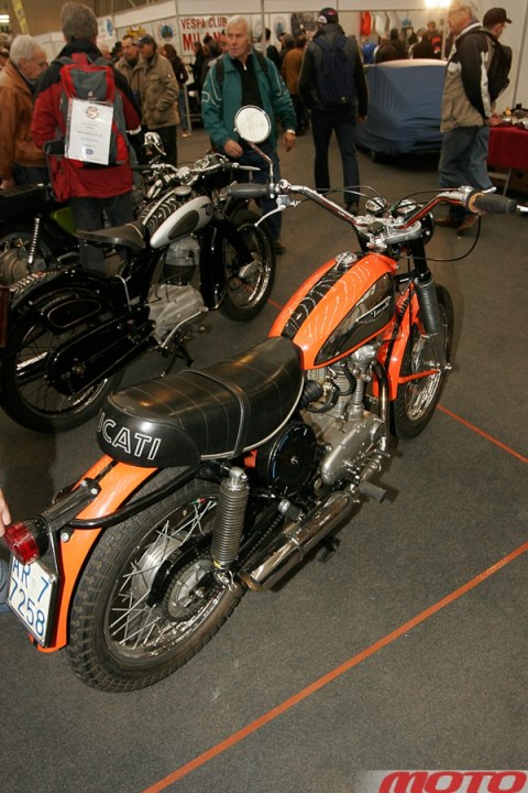 monstra-38.JPG