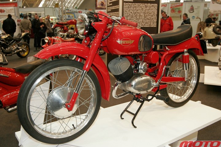 monstra-44.JPG