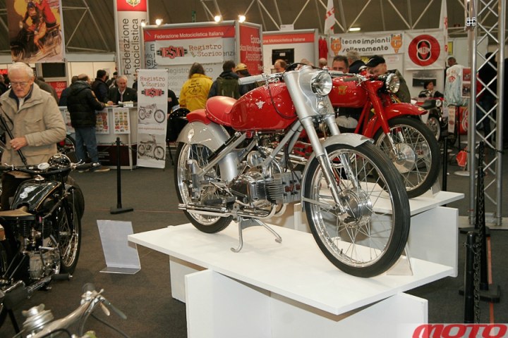 monstra-49.JPG