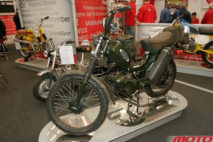monstra-54.JPG