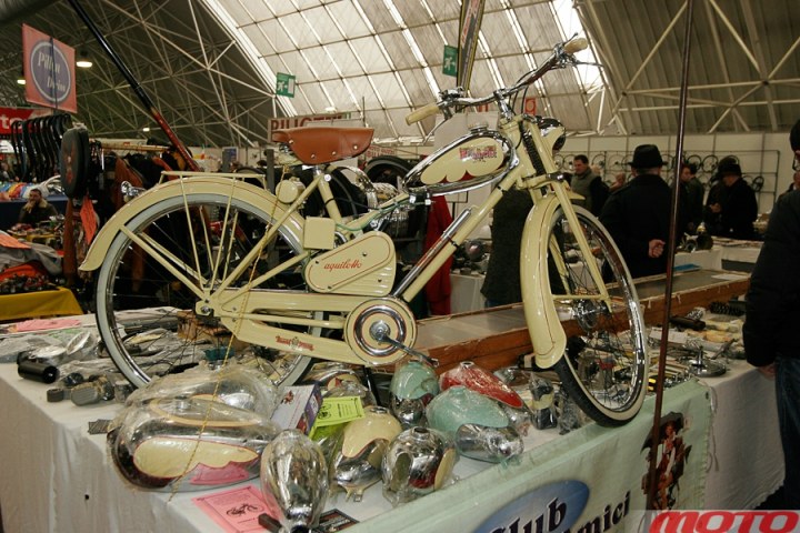 monstra-55.JPG