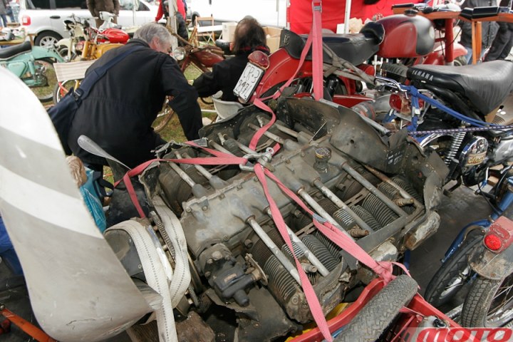 monstra-61.JPG