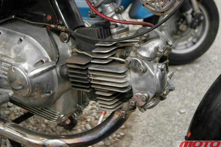 monstra-64.JPG
