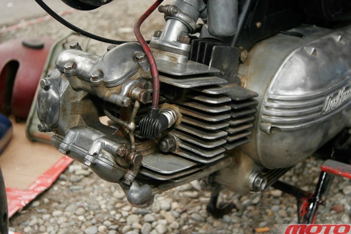 monstra-65.JPG