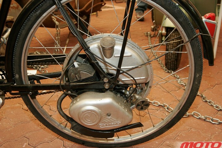 monstra-76.JPG