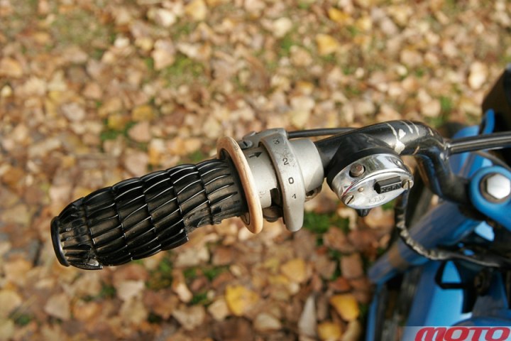 monstra-77.JPG