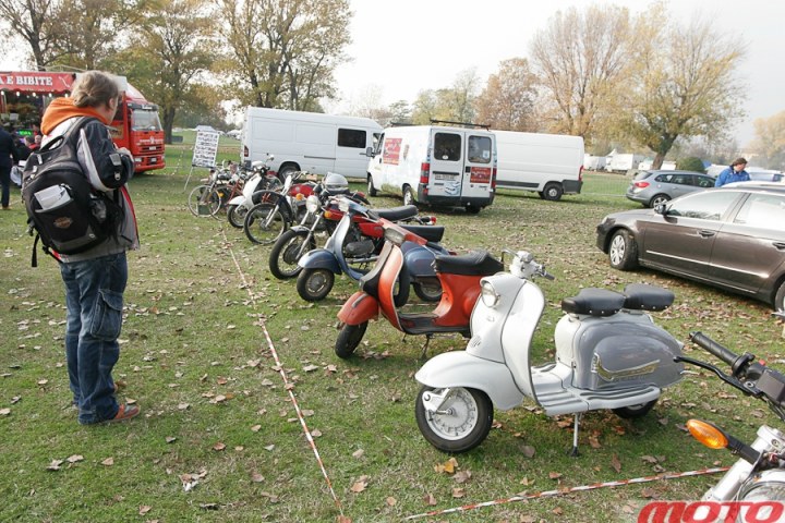 monstra-78.JPG