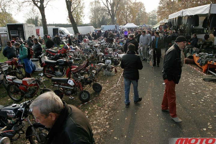 monstra-79.JPG