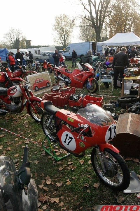 monstra-80.JPG