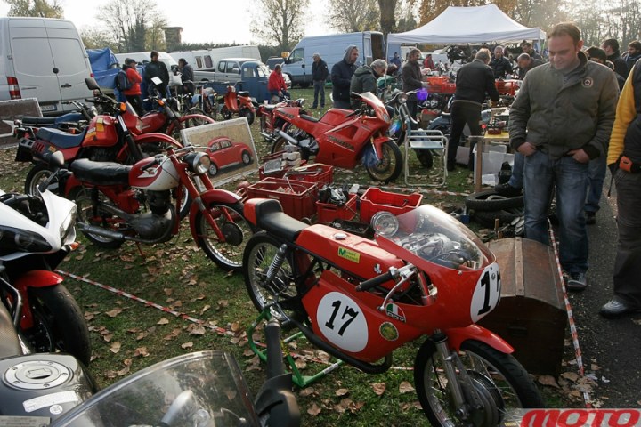 monstra-81.JPG