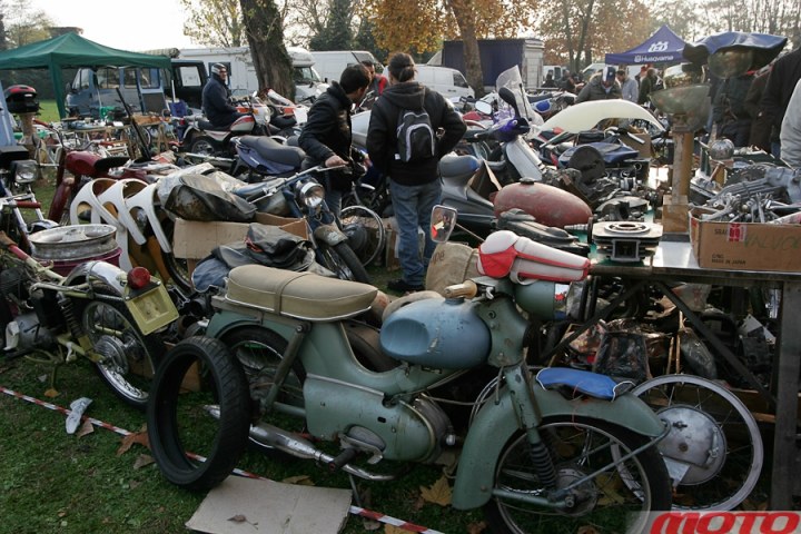 monstra-82.JPG