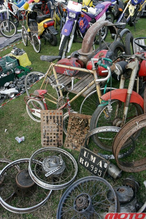 monstra-85.JPG