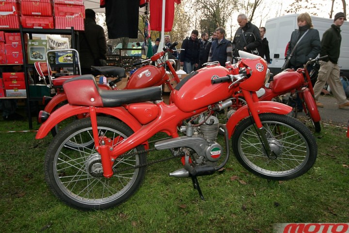 monstra-86.JPG