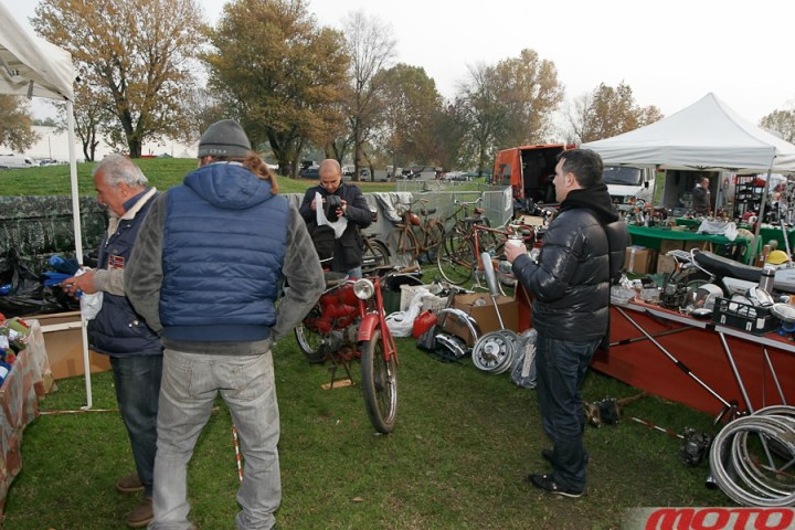 monstra-87.JPG