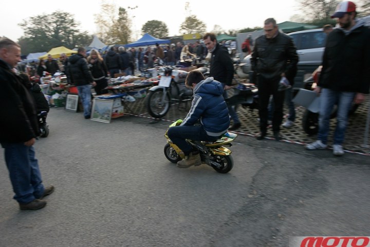 monstra-95.JPG