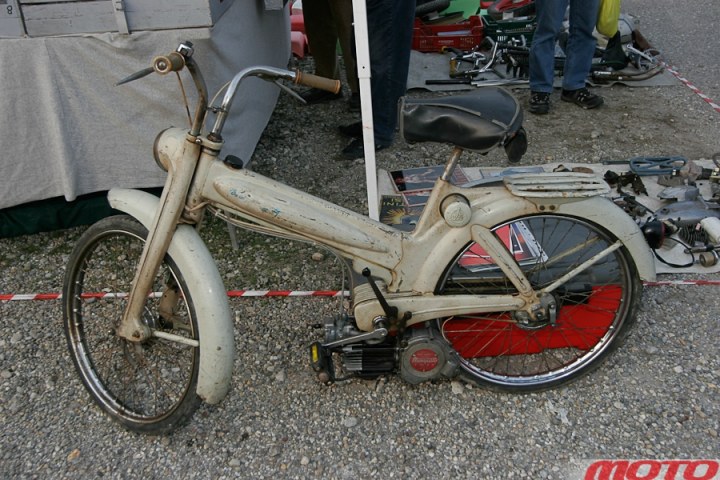 monstra-98.JPG
