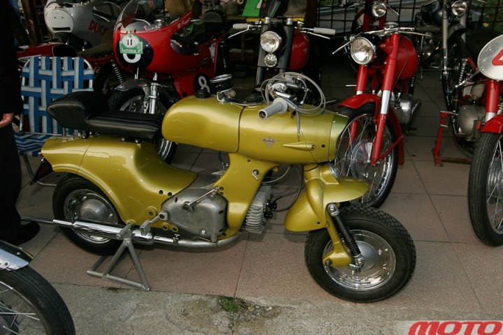 monstra-101.JPG