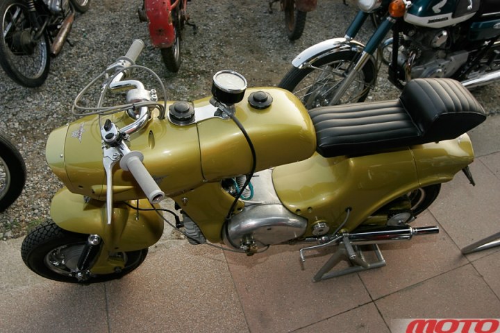 monstra-102.JPG