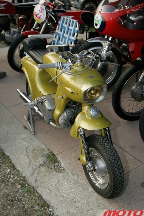 monstra-103.JPG