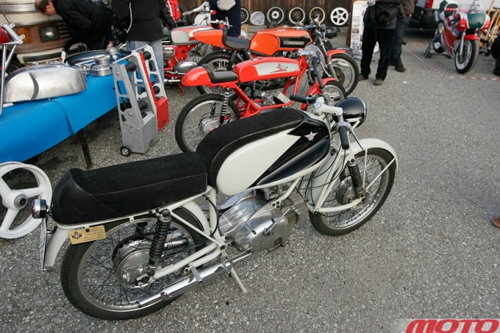 monstra-105.JPG
