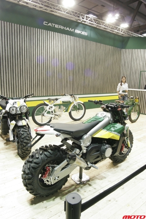 _MG_8813.JPG