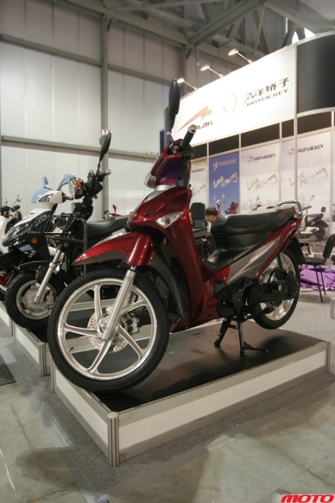 _MG_8844.JPG