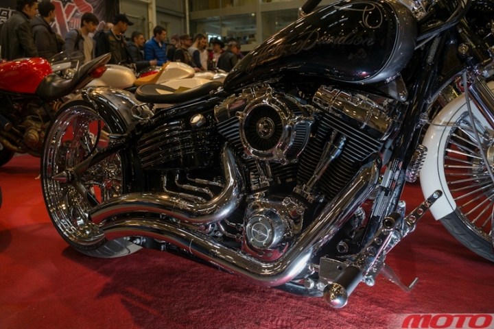 kastio-46.jpg