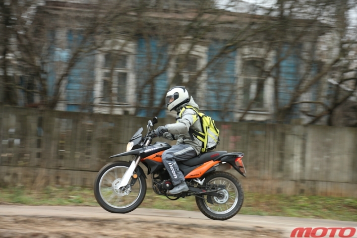 irbiss-5.jpg