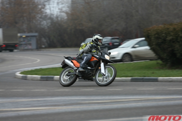 irbiss-11.jpg