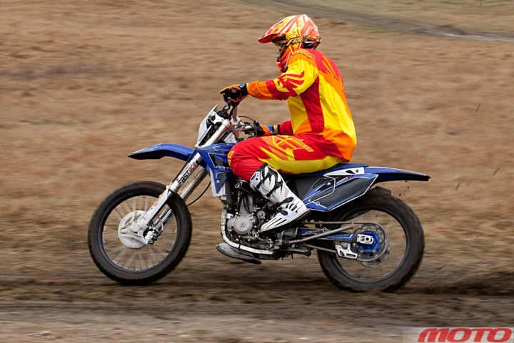 balto-15.jpg