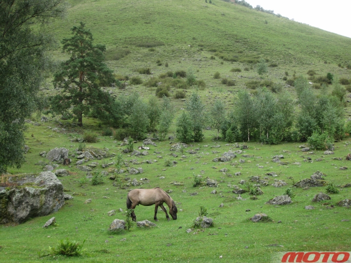 altai-gallery-12.jpg