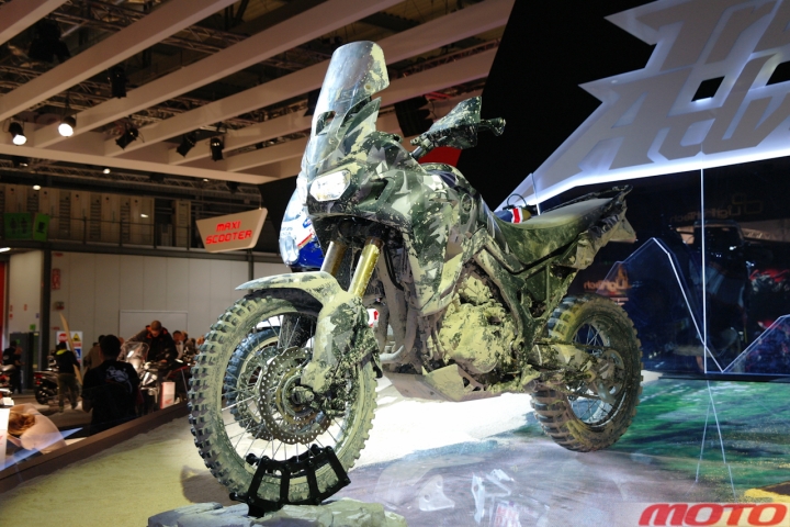 eicmaaagal-15.jpg