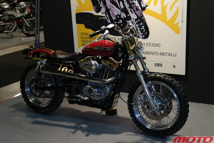 eicmaaagal-17.jpg