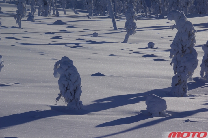 magadan-21.jpg