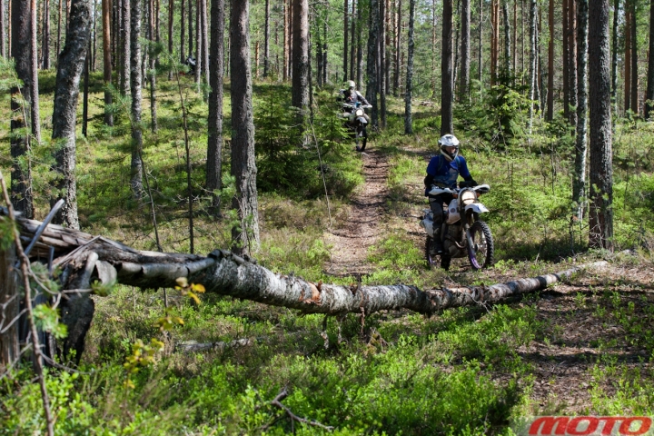 Ladogagalery-41.jpg