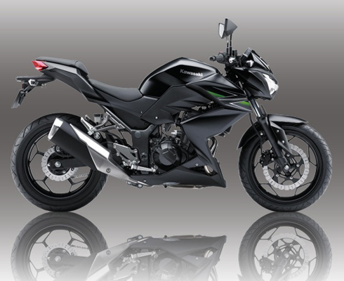 Kawasaki добавила новый нейкед в Z-серию