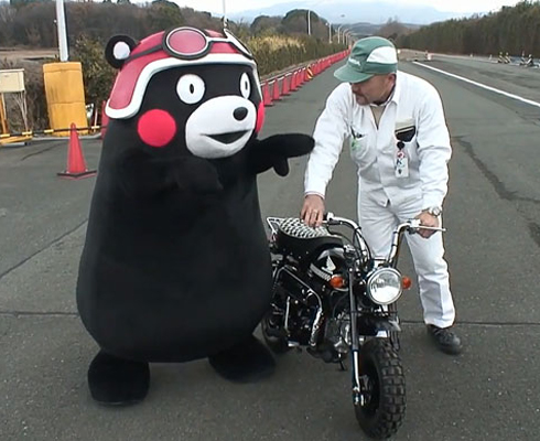 Медведь колесит на Honda Monkey