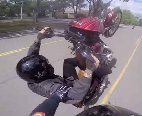 13-я серия Harley Wheelies