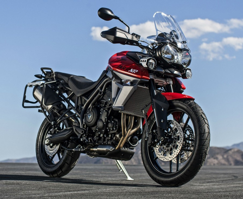 Triumph представил двух хищников