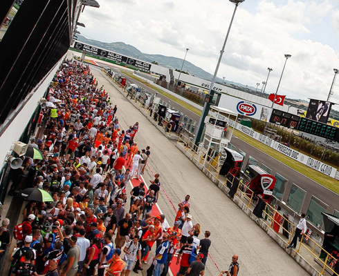 WSBK-2015: В бой идут старики