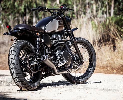 Triumph T100 «Щеголеватый бродяга»